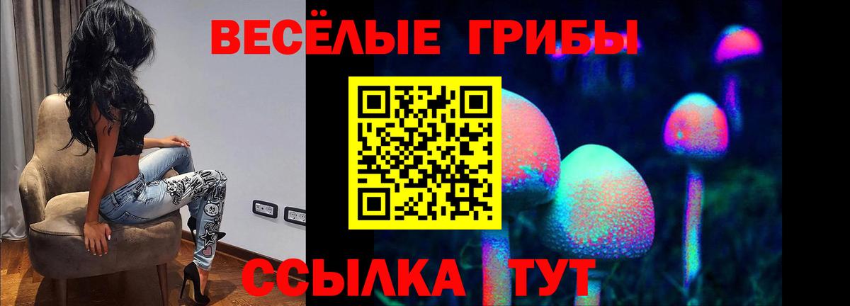 Псилоцибиновые грибы мухоморы  Вход с VPN  Гагарин 